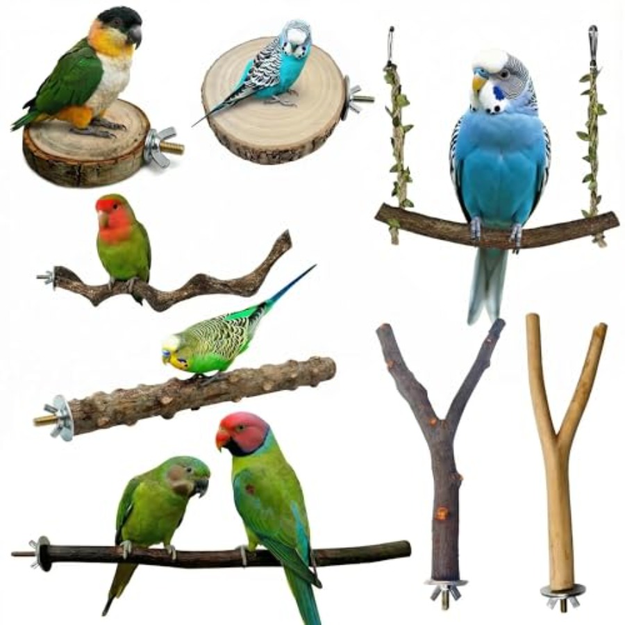 Health & Wellness Expo 2025 - 8PCS tempat bertengger burung dari kayu