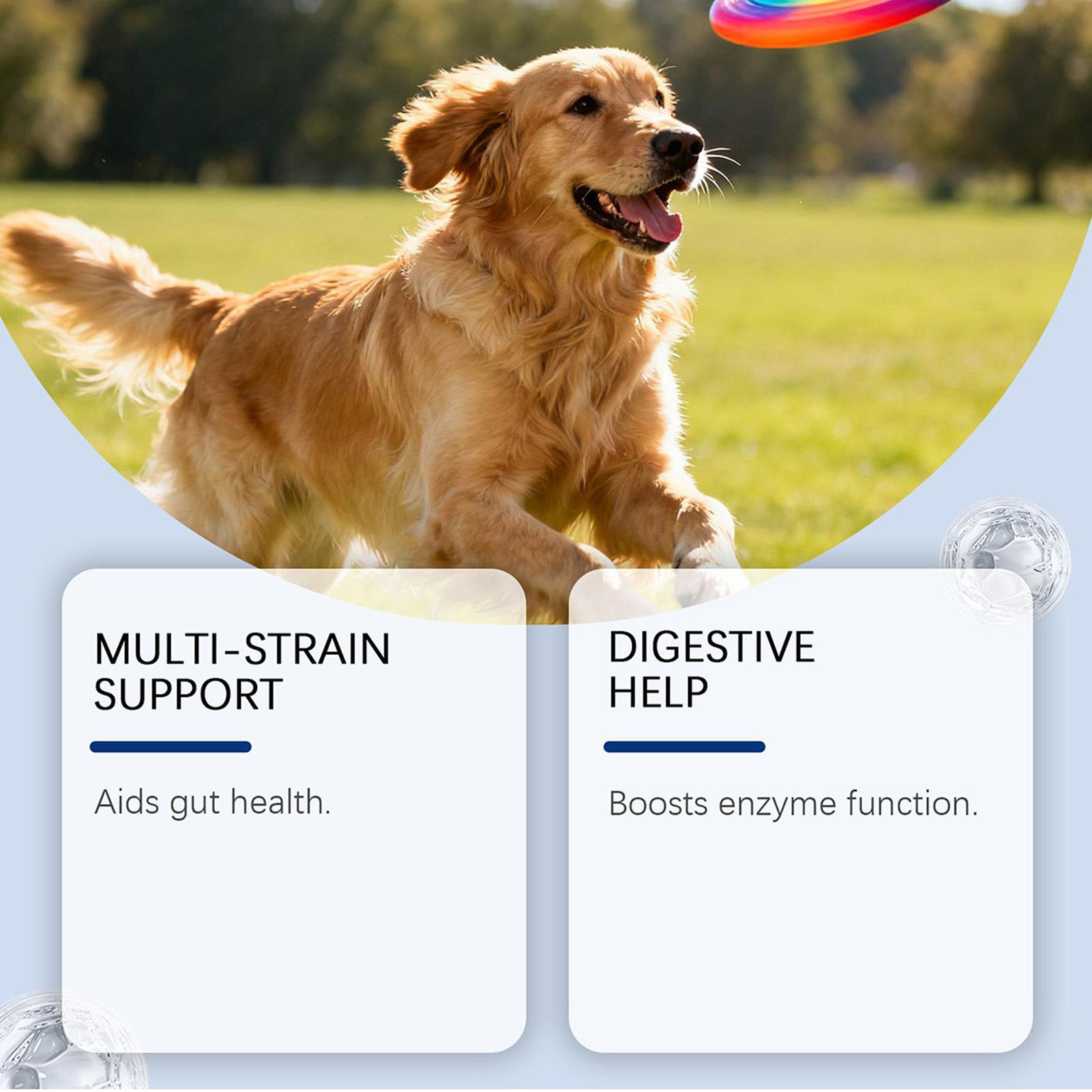 Dog Wellness Bites Camilan Ala - Health Wellness Food ulasan dan harga